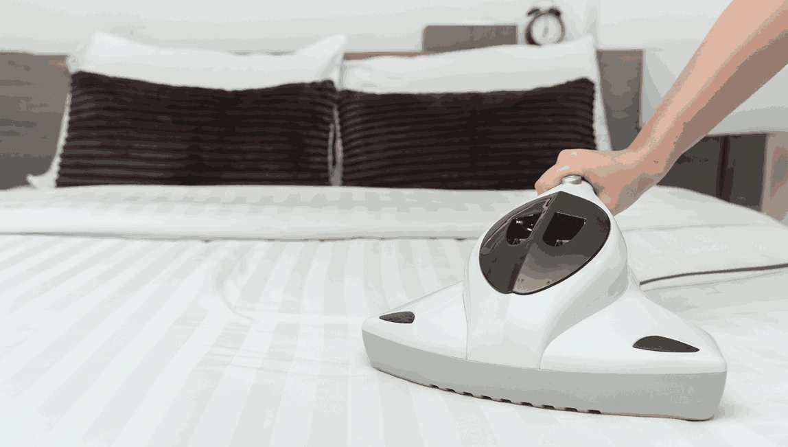 Professional Mattress Cleaning Aspendale Gardens